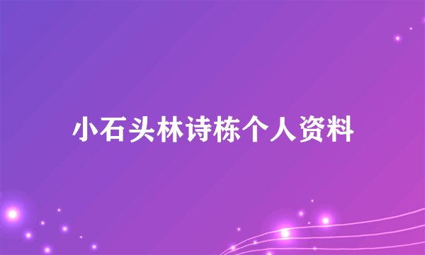 小石头林诗栋个人资料