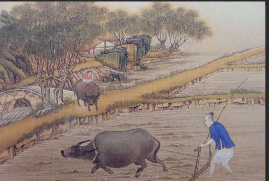 田畴的释义