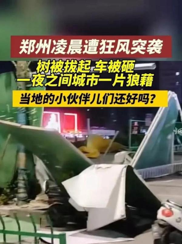 河南大风吹倒路灯 行人不幸被砸身亡