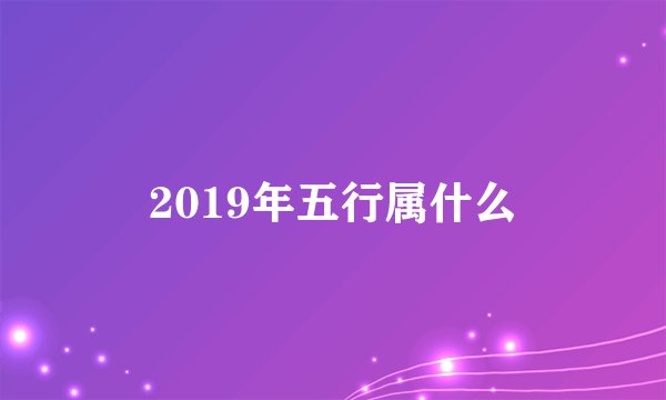 2019年五行属什么