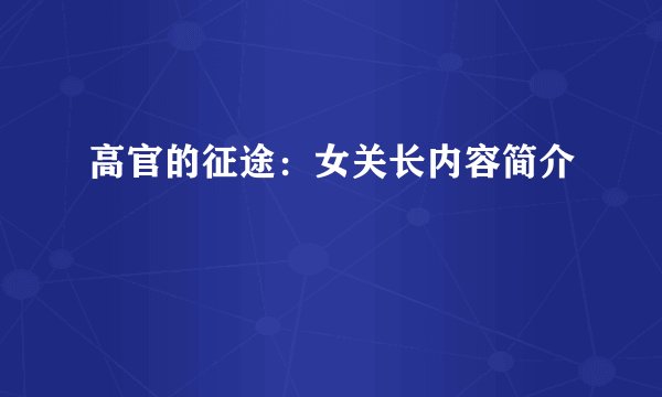 高官的征途:女关长内容简介