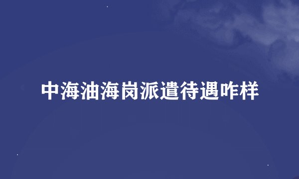 中海油海岗派遣待遇咋样