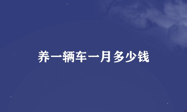 养一辆车一月多少钱