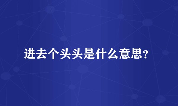 进去个头头是什么意思？