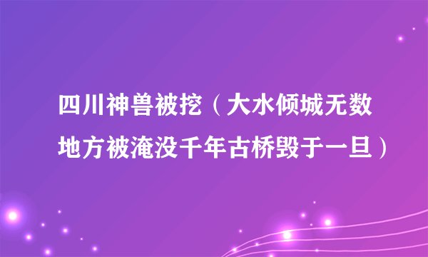 四川神兽被挖（大水倾城无数地方被淹没千年古桥毁于一旦）