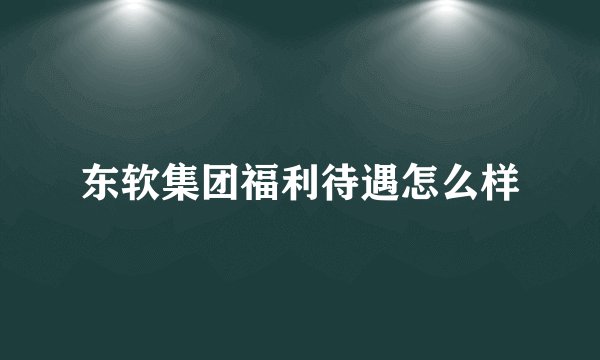 东软集团福利待遇怎么样