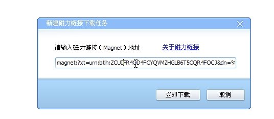 磁力链接的开头“magnet:?xt=urn:btih:”是什么含义?