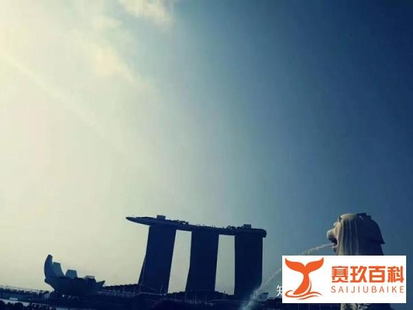 为什么都想去新加坡做对外汉语老师，去新加坡做中文老师怎么样呢？