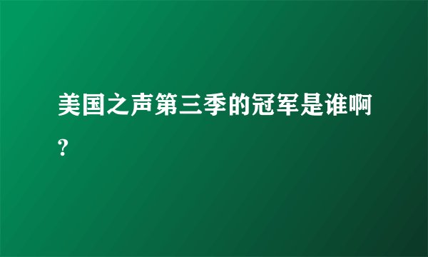 美国之声第三季的冠军是谁啊?