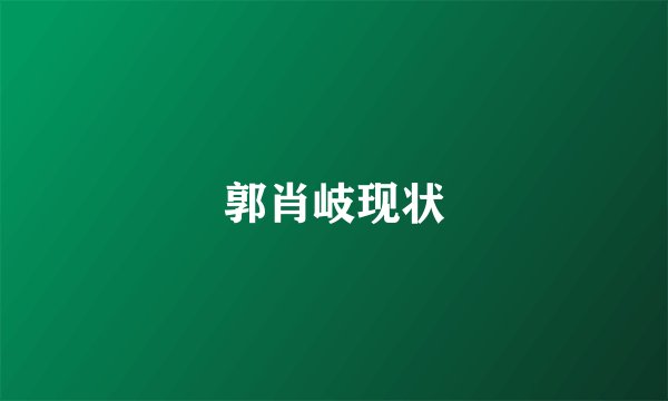 郭肖岐现状