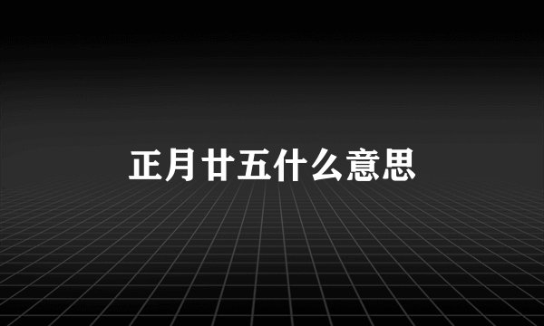 正月廿五什么意思