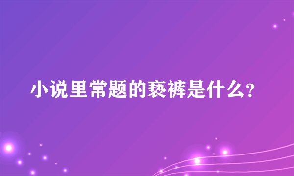 小说里常题的亵裤是什么？