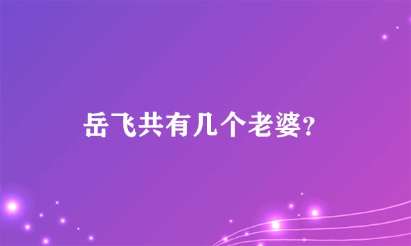 岳飞共有几个老婆？