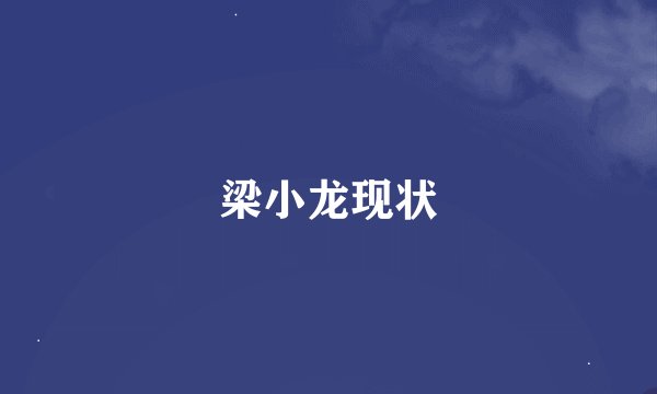 梁小龙现状