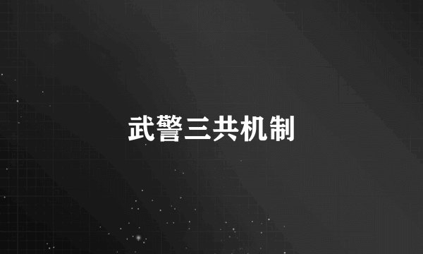 武警三共机制
