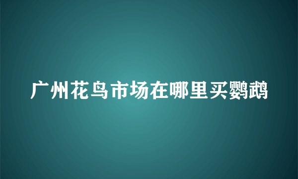 广州花鸟市场在哪里买鹦鹉