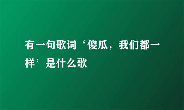 有一句歌词‘傻瓜，我们都一样’是什么歌