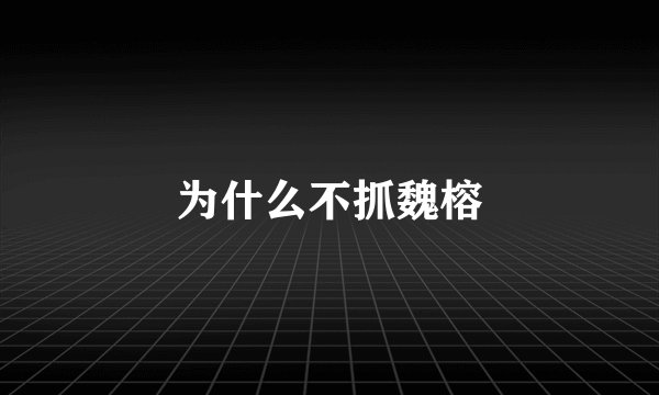 为什么不抓魏榕