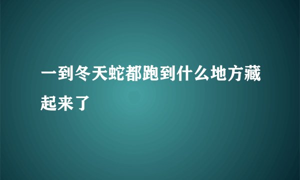 一到冬天蛇都跑到什么地方藏起来了