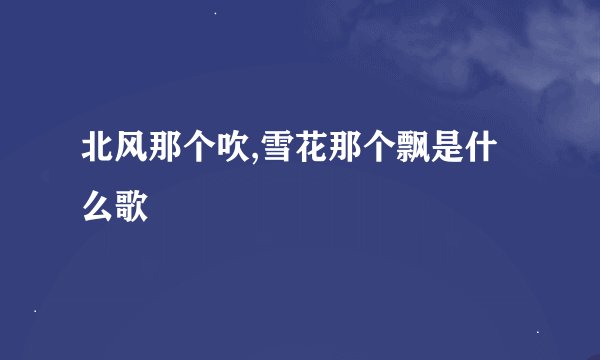 北风那个吹,雪花那个飘是什么歌