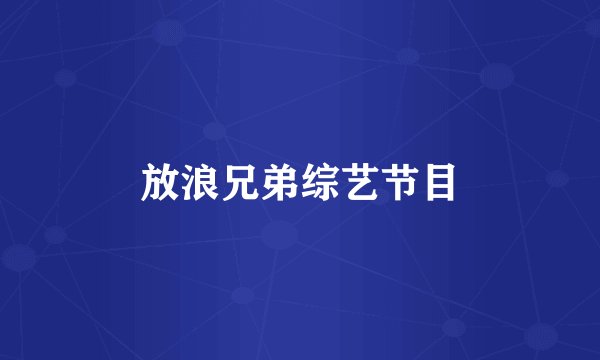 放浪兄弟综艺节目