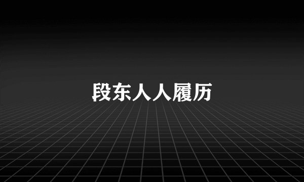 段东人人履历