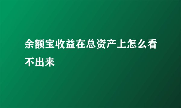 余额宝收益在总资产上怎么看不出来