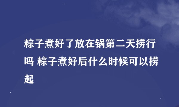 粽子煮好了放在锅第二天捞行吗 粽子煮好后什么时候可以捞起
