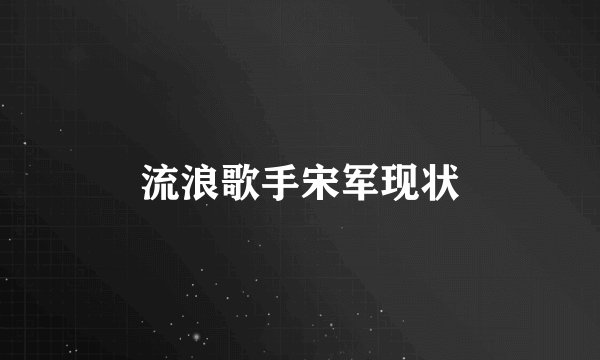 流浪歌手宋军现状