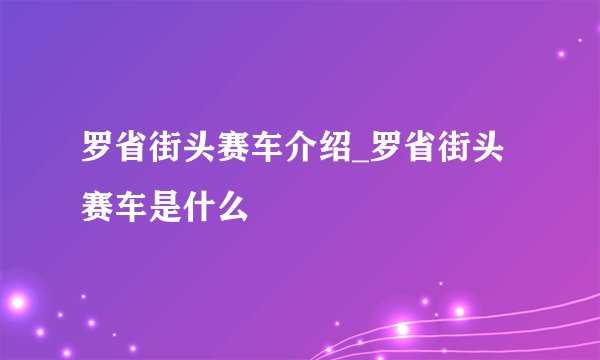 罗省街头赛车介绍_罗省街头赛车是什么
