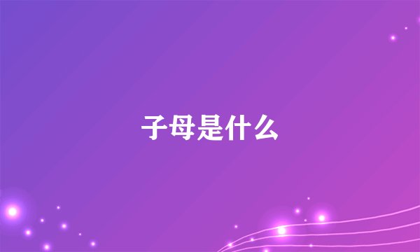 子母是什么