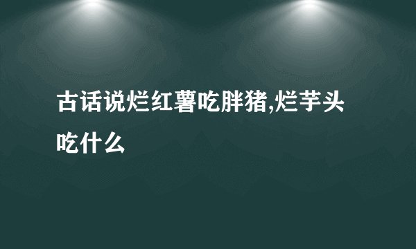 古话说烂红薯吃胖猪,烂芋头吃什么