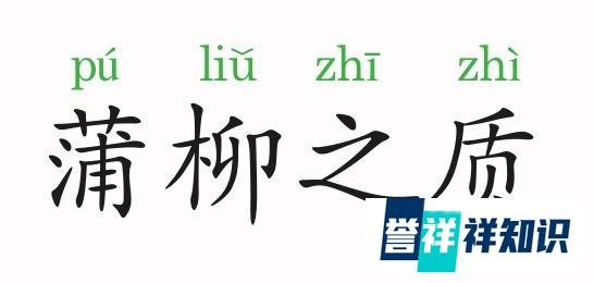 成语故事：蒲柳之质