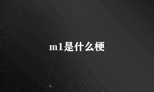 m1是什么梗