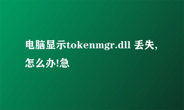 电脑显示tokenmgr.dll 丢失,怎么办!急