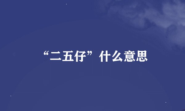 “二五仔”什么意思