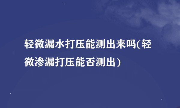 轻微漏水打压能测出来吗(轻微渗漏打压能否测出)