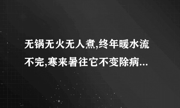 无锅无火无人煮,终年暖水流不完,寒来暑往它不变除病保比喻什么生肖