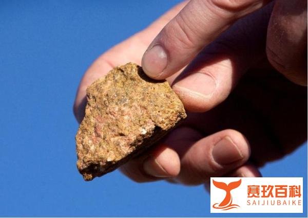 日本和沙特阿拉伯将联合投资稀土项目，实现电动汽车供应链多元化