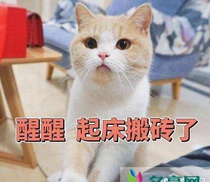 你不对劲是什么梗 你不对劲场景应用
