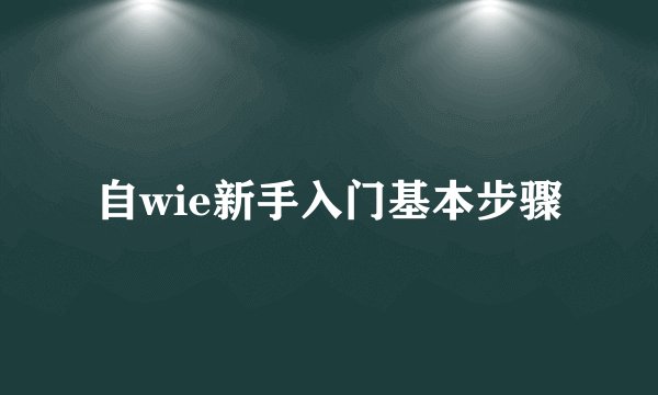自wie新手入门基本步骤