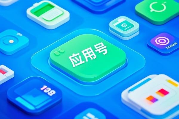 信息里面有个应用号是什么
