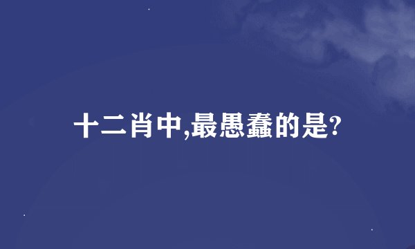 十二肖中,最愚蠢的是?