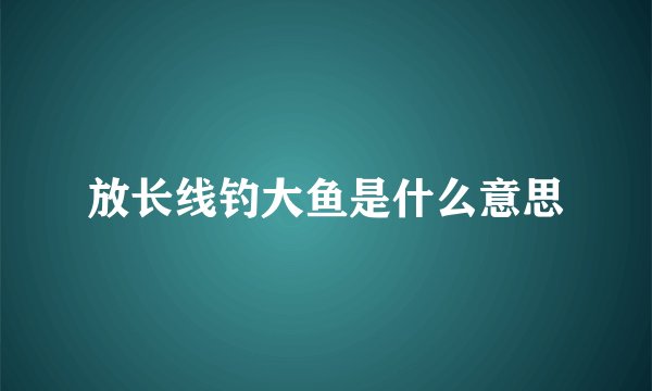 放长线钓大鱼是什么意思