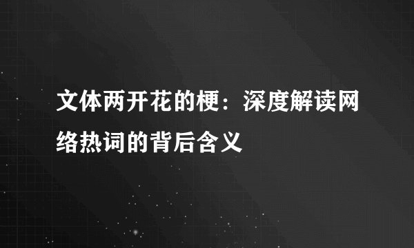 文体两开花的梗：深度解读网络热词的背后含义