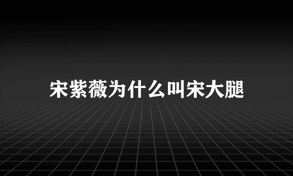 宋紫薇为什么叫宋大腿