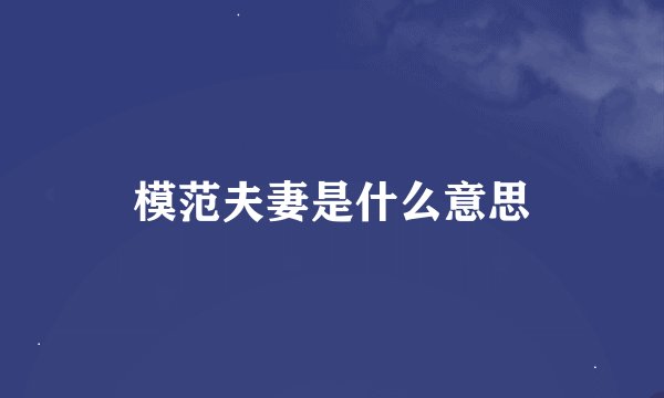 模范夫妻是什么意思