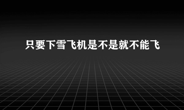 只要下雪飞机是不是就不能飞