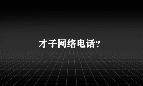 才子网络电话？