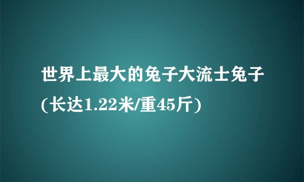 世界上最大的兔子大流士兔子(长达1.22米/重45斤)